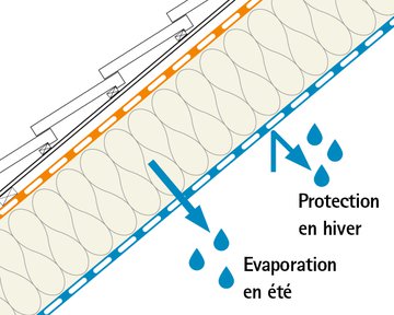 coupe été hiver